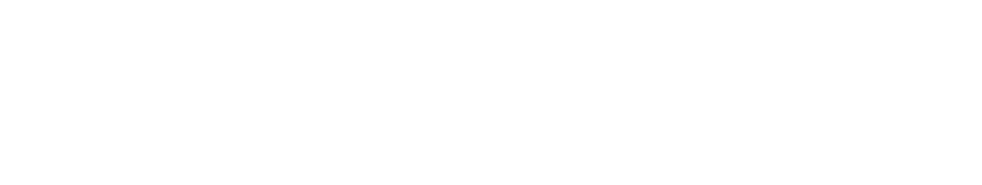 USIX logo